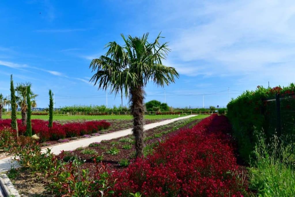 Domaine Juan Flore Антиб Екстериор снимка